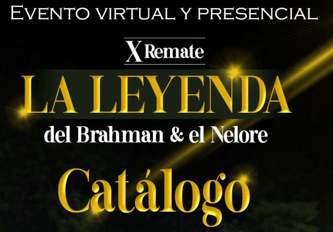 Catalogo Constelación del Nelore