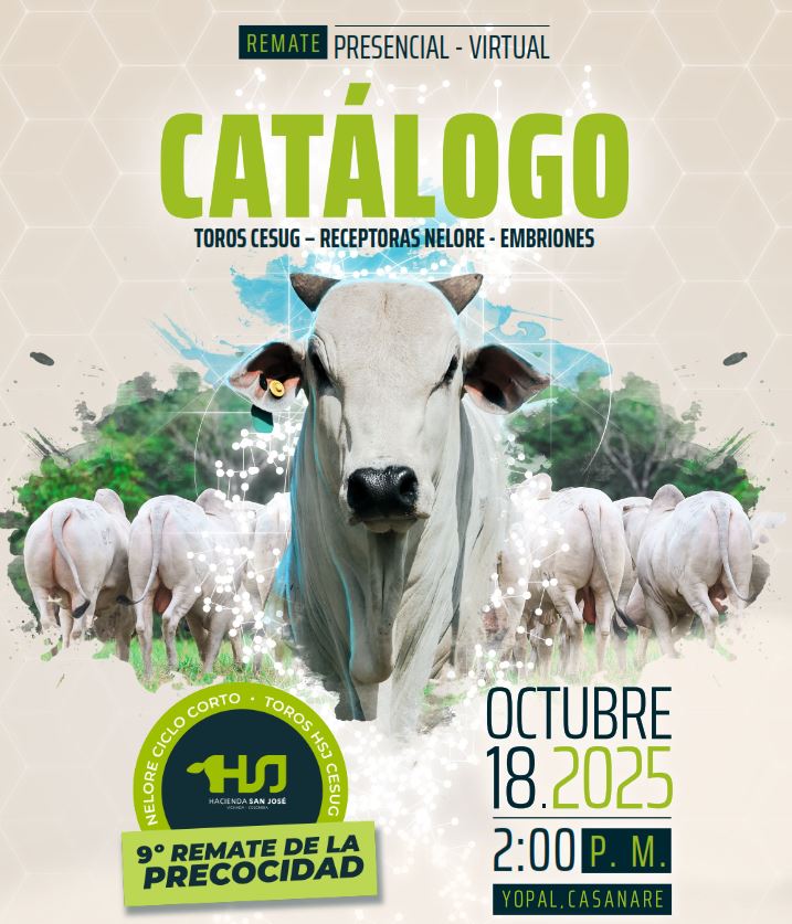 Remate de la Precocidad